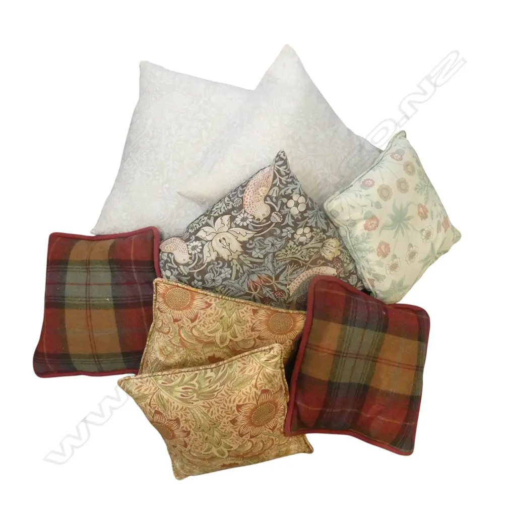 8 ASST. CUSHIONS  Image 1++