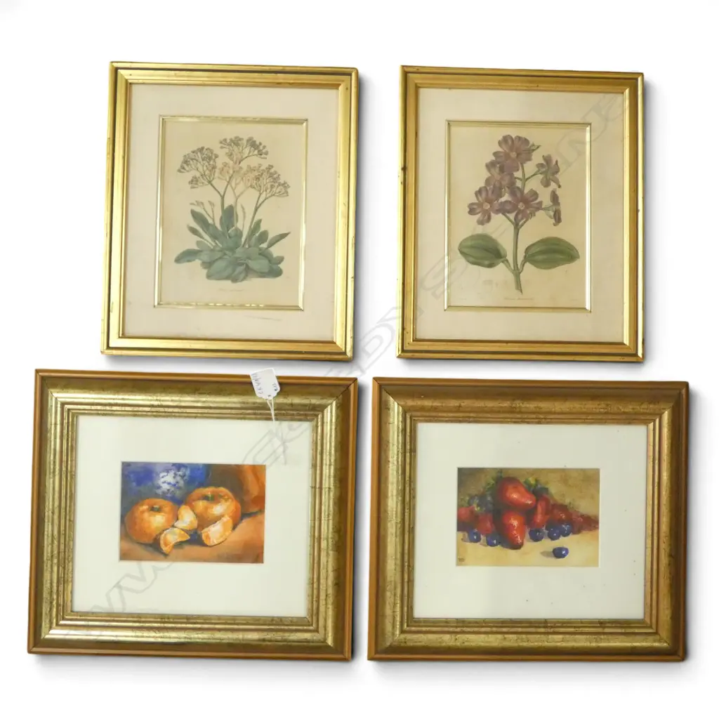 MANDY DEMPSEY 'BLUEBERRIES + STRAWBERRIES', 'MANDARINS' WC 100x140mm + PR FLORAL PRINTS  Image 1++