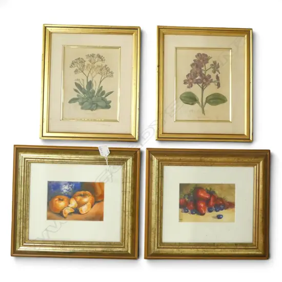 MANDY DEMPSEY 'BLUEBERRIES + STRAWBERRIES', 'MANDARINS' WC 100x140mm + PR FLORAL PRINTS 