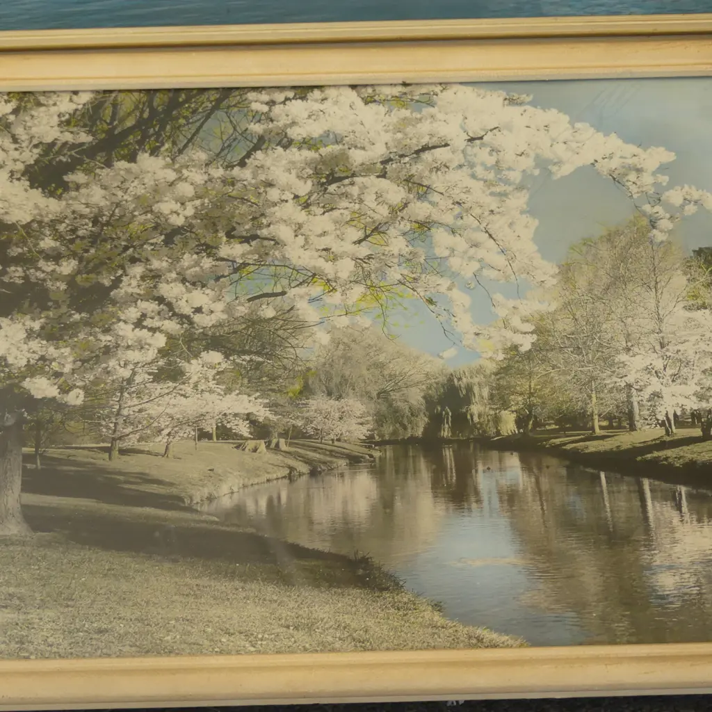 2 ELLIS DUDGEON PRINTS 'SPRING TIME ON THE AVON - CHRISTCHURCH' 390x495mm, 'NELSON HARBOUR - MCARTHURS RANGE' Image 1++