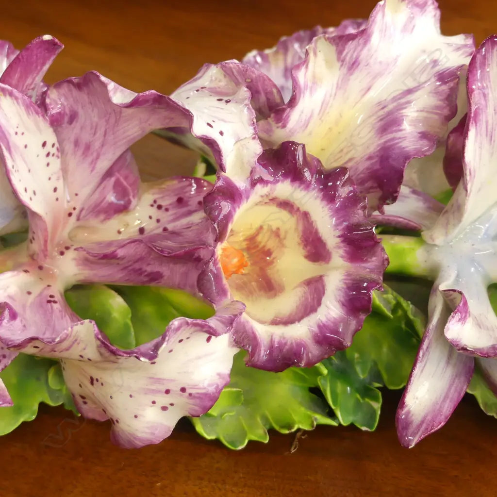 CAPODIMONTE ORCHIDS W.360mm small chips Image 1++