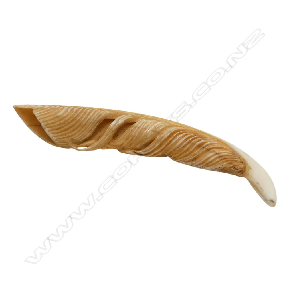 Fumio Noguchi (JAPANESE/NZ) finely CARVED WILD PIG TUSK FEATHER. Natural hair cracks. L.70mm With detailed card Image 1++