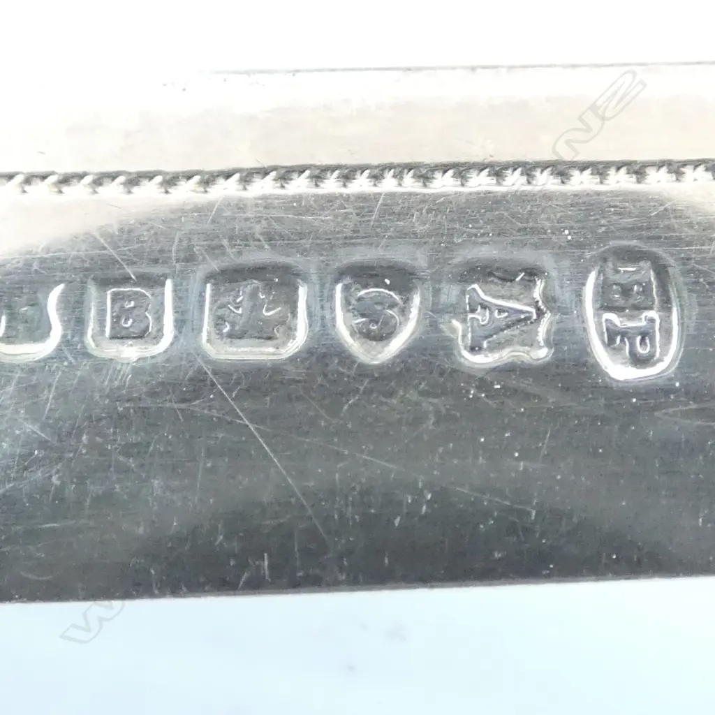 CANTEEN w. 12 PLACE FRUIT SET mop handles & stg silver collars, sheffield Image 1++