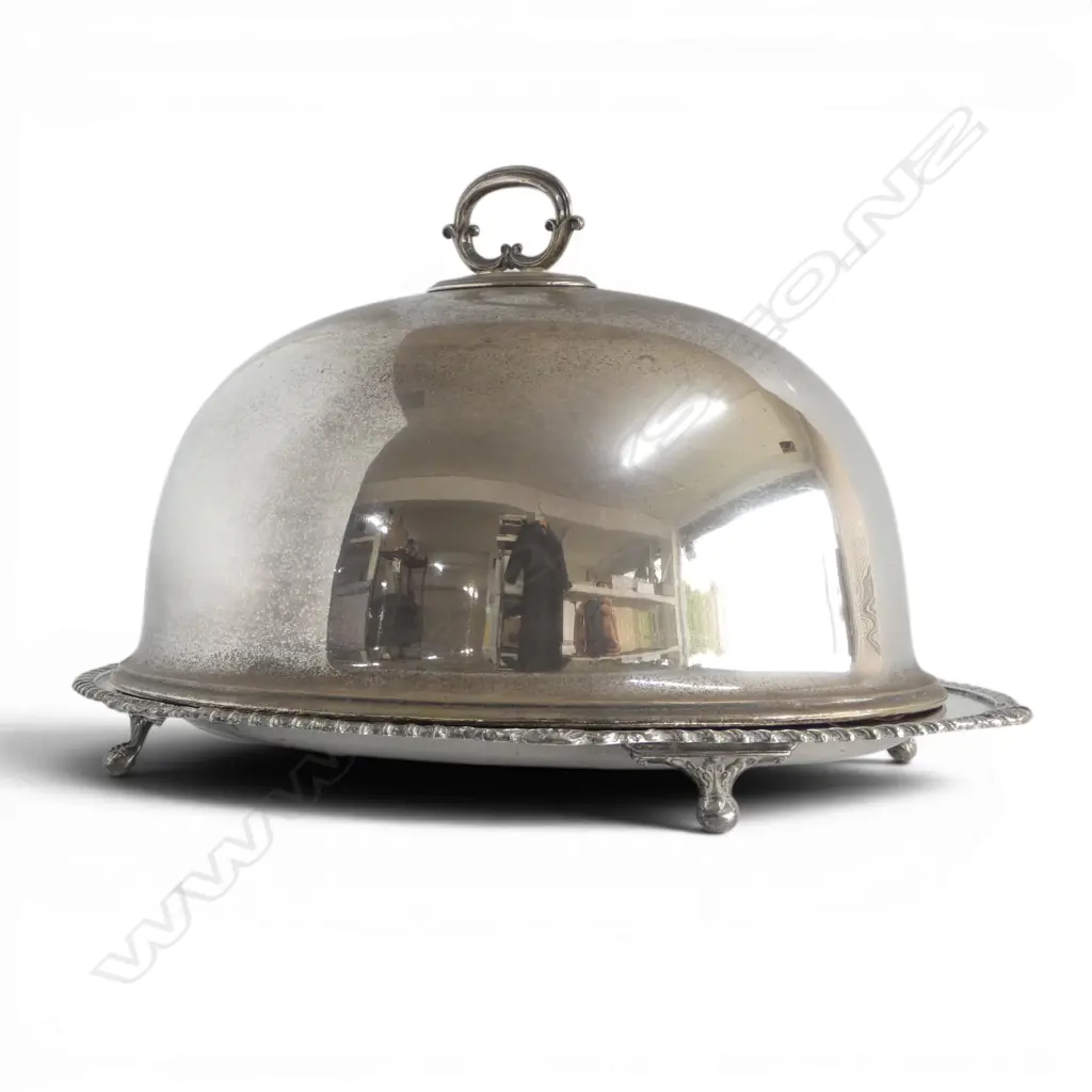 SILVER PLATE MEAT DISH 485x340mm + FOOD DOME Image 1++