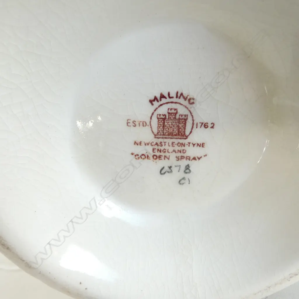 MALING 'GOLDEN SPRAY' JUG H.275mm + 2 MALING SQUARE PLATES Image 1++