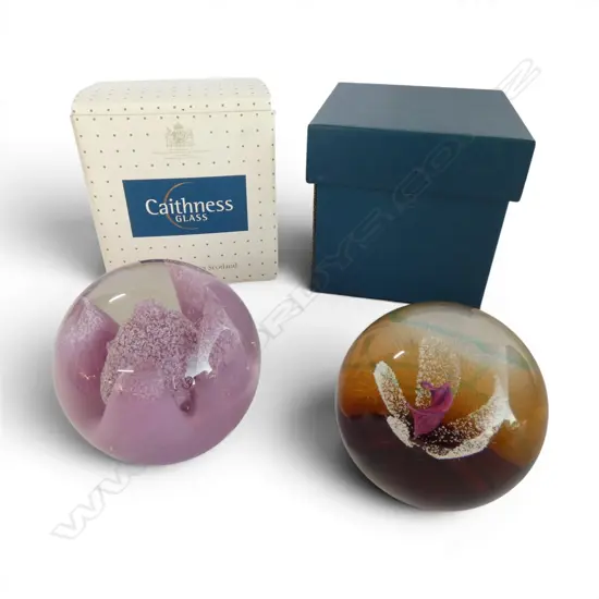 2 CAITHNESS ART GLASS PAPERWEIGHTS 'STRAWBERRY FAYRE' & 'APPURATION'
