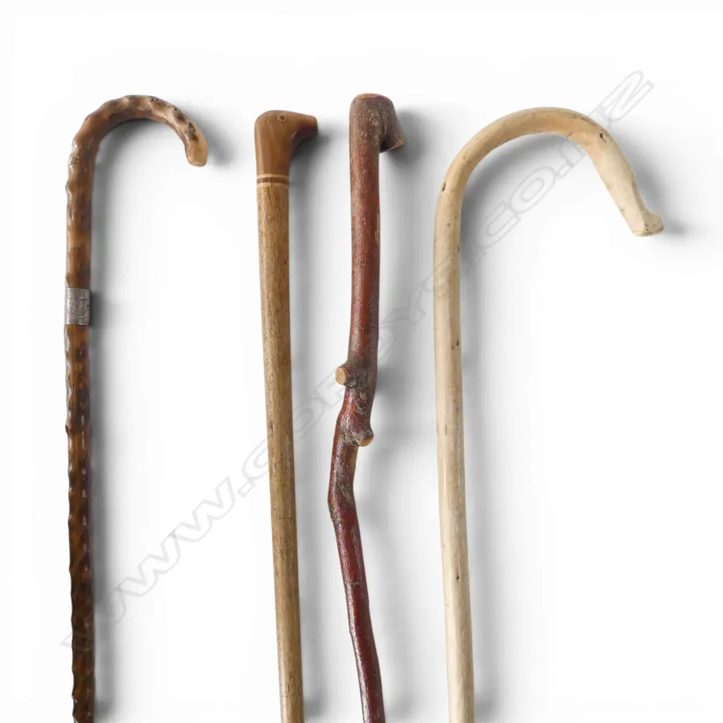 4 WALKING STICKS  Image 1++
