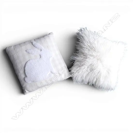2 X CUSHIONS, ONE WITH WHITE SHEEPSKIN, 400 X 400MM