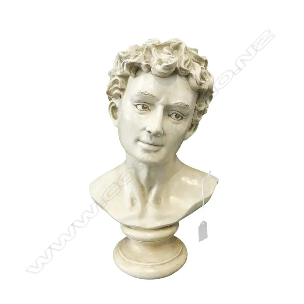 MALE BUST 390MM Image 1++