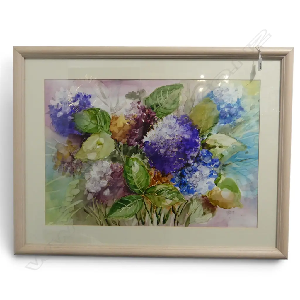FRAMED W/C HYDRANGERS SIGNED SALLY CLOUGH H440 W440MM Image 1++