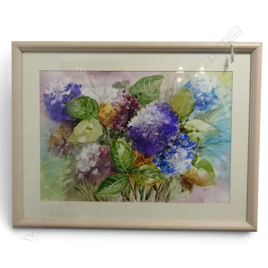 FRAMED W/C HYDRANGERS SIGNED SALLY CLOUGH H440 W440MM