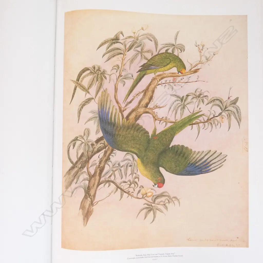 CHARLES HEAPHY W/C FOLIO, PUB. AVON FINE PRINTS CHCH 1981, LTD ED 980/1000, 725x525mm Image 1++