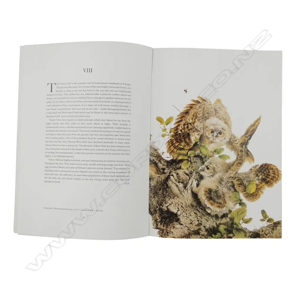 3 BOOKS; MEDICINES OF THE MAORI, EXTINCT BIRDS OF N.Z. & RAYMOND CHING - THE BIRD PAINTINGS Image 1++