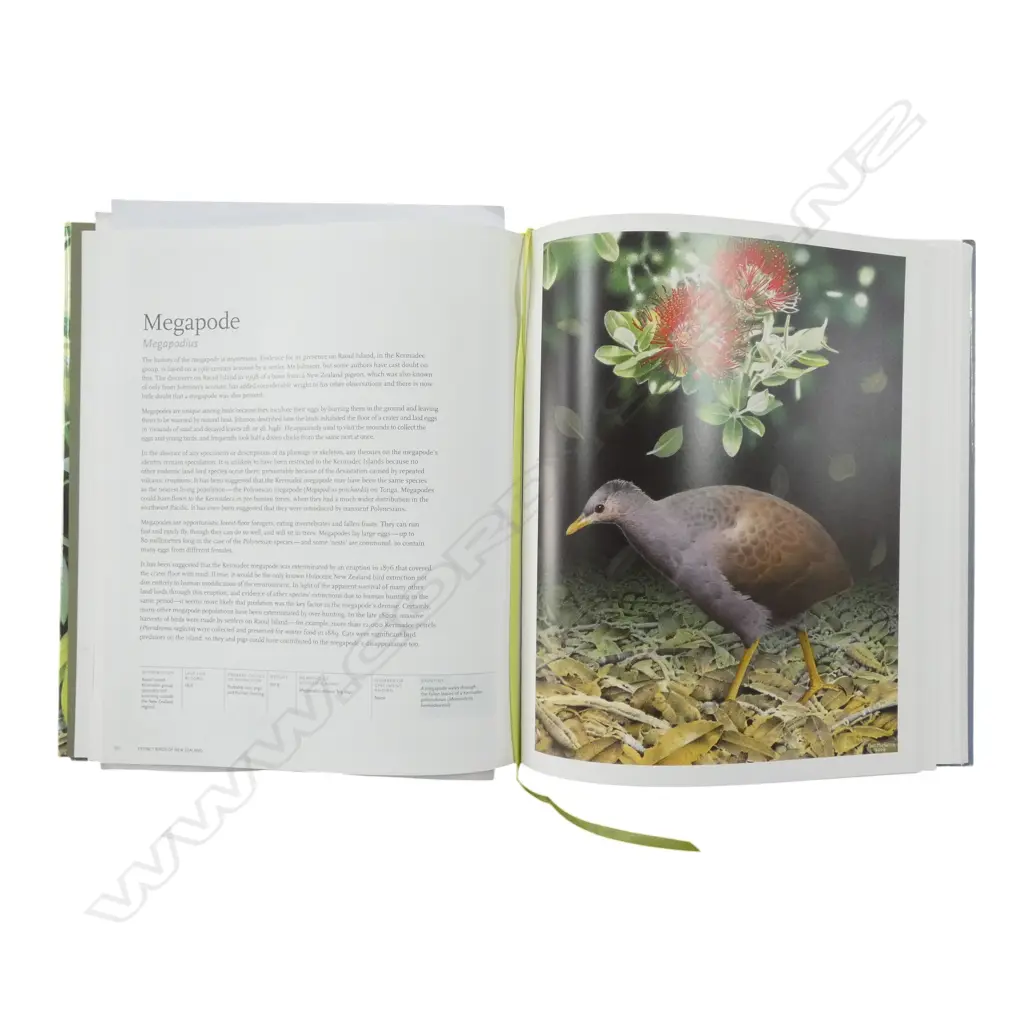 3 BOOKS; MEDICINES OF THE MAORI, EXTINCT BIRDS OF N.Z. & RAYMOND CHING - THE BIRD PAINTINGS Image 1++