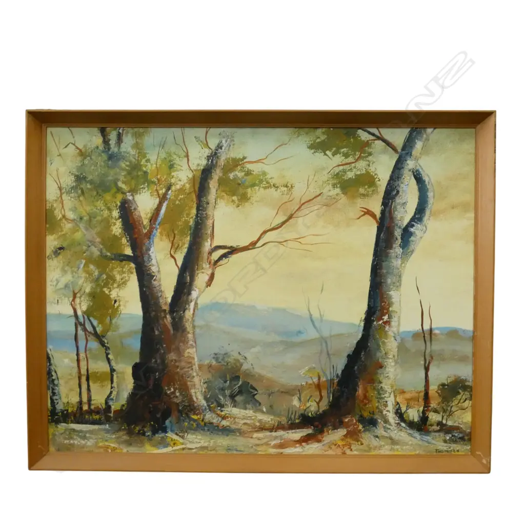 FRAMED OIL ON BOARD GUM TREES SIGNED THOMSEN  H450 W600MM Image 1++