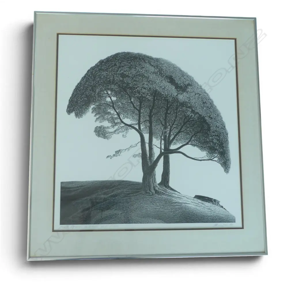 LIMITED EDITION PRINT AUCKLAND POHUTAKAWA SIGNED J HUTCHINSON H570 W530MM Image 1++