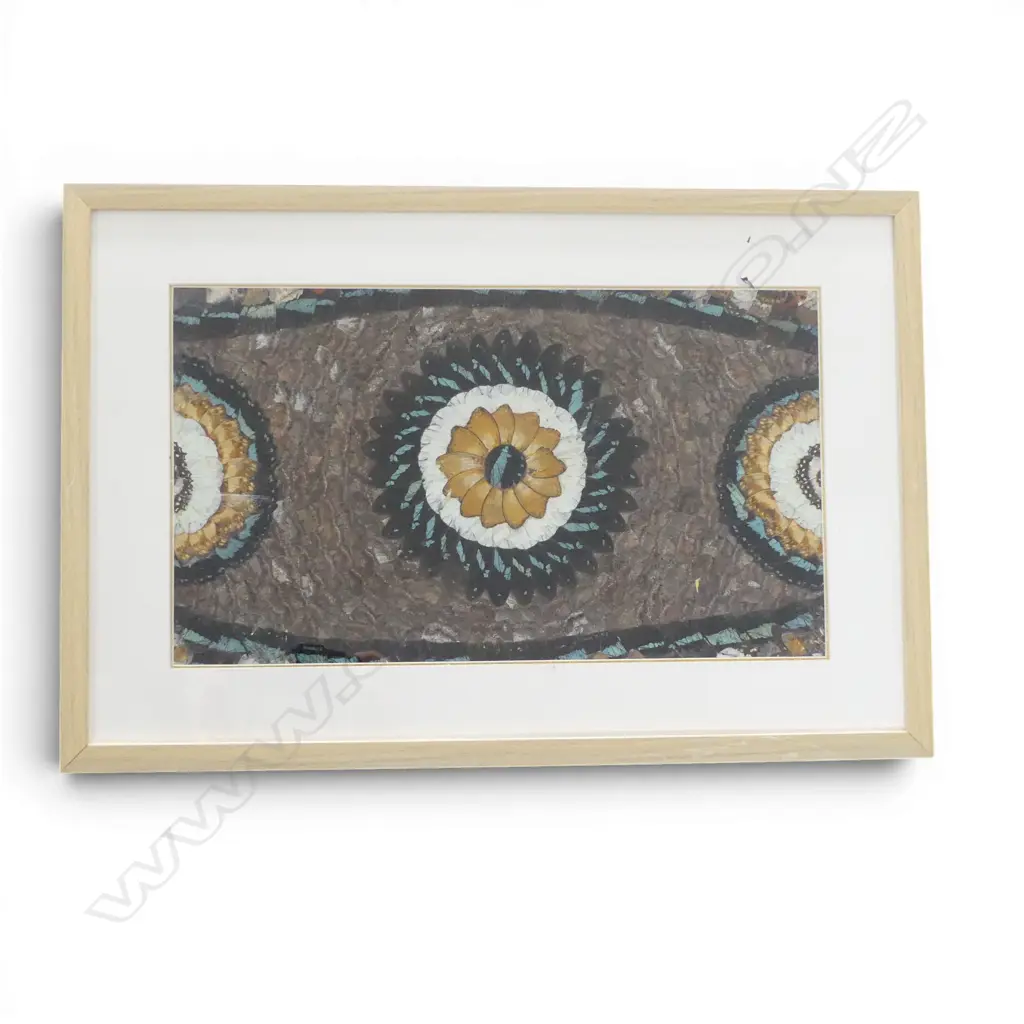 FRAMED BUTTERFLY WING ARTWORK 265x460mm Image 1++