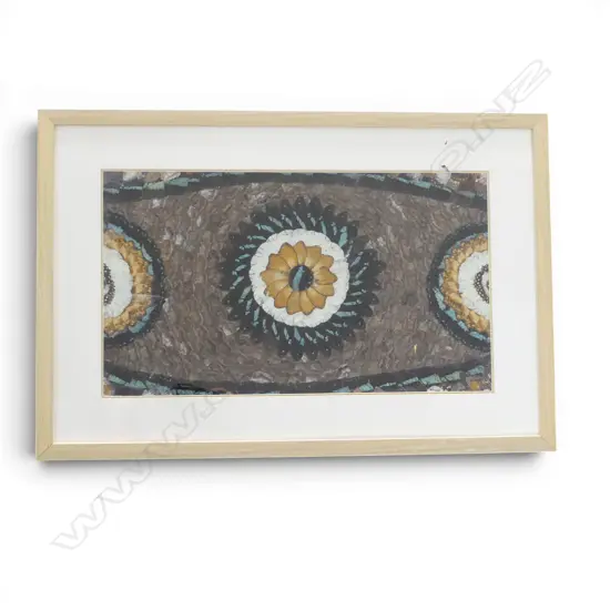 FRAMED BUTTERFLY WING ARTWORK 265x460mm