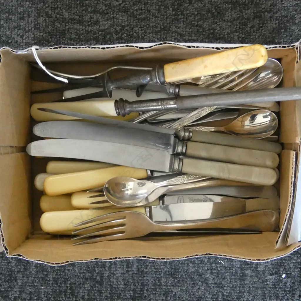 ASST. CUTLERY INCL. IVORINE 'BONE' HANDLED KNIVES Image 1++