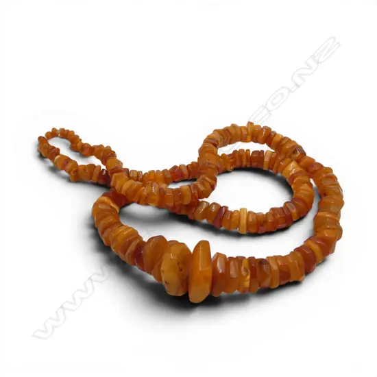 GRADUATING AMBER DISC NECKLACE