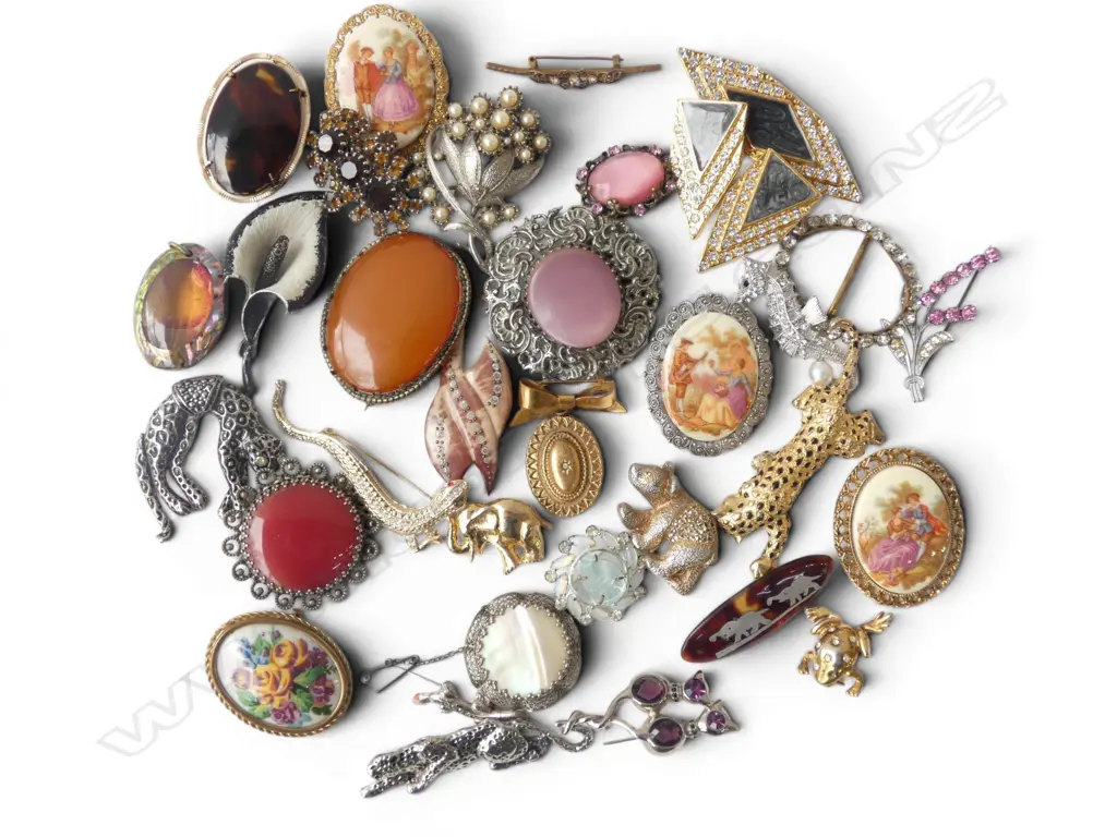 ASST COSTUME BROOCHES  Image 1++
