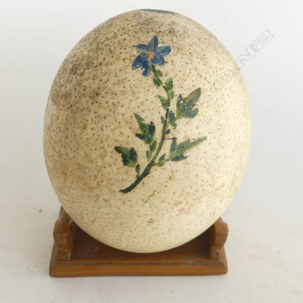 HAND PAINTED OSTRICH EGG 'MOUILLE POINT TABLE BAY' ON STAND W.120mm Image 1++