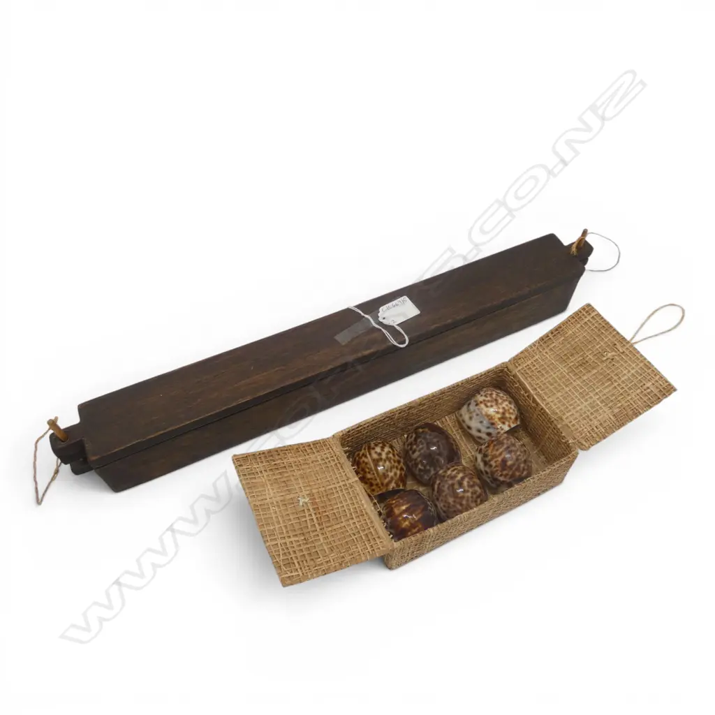 WOODEN EEL BOX L.515mm + 6 SHELL NAPKIN RINGS, BOXED Image 1++