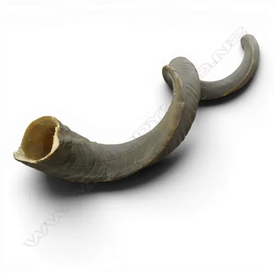 AFRICAN KUDU HORN L.1040mm