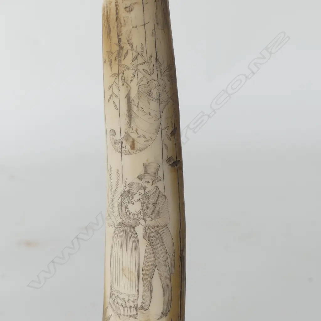 RESIN SCRIMSHAW TUSK L.295mm Image 1++
