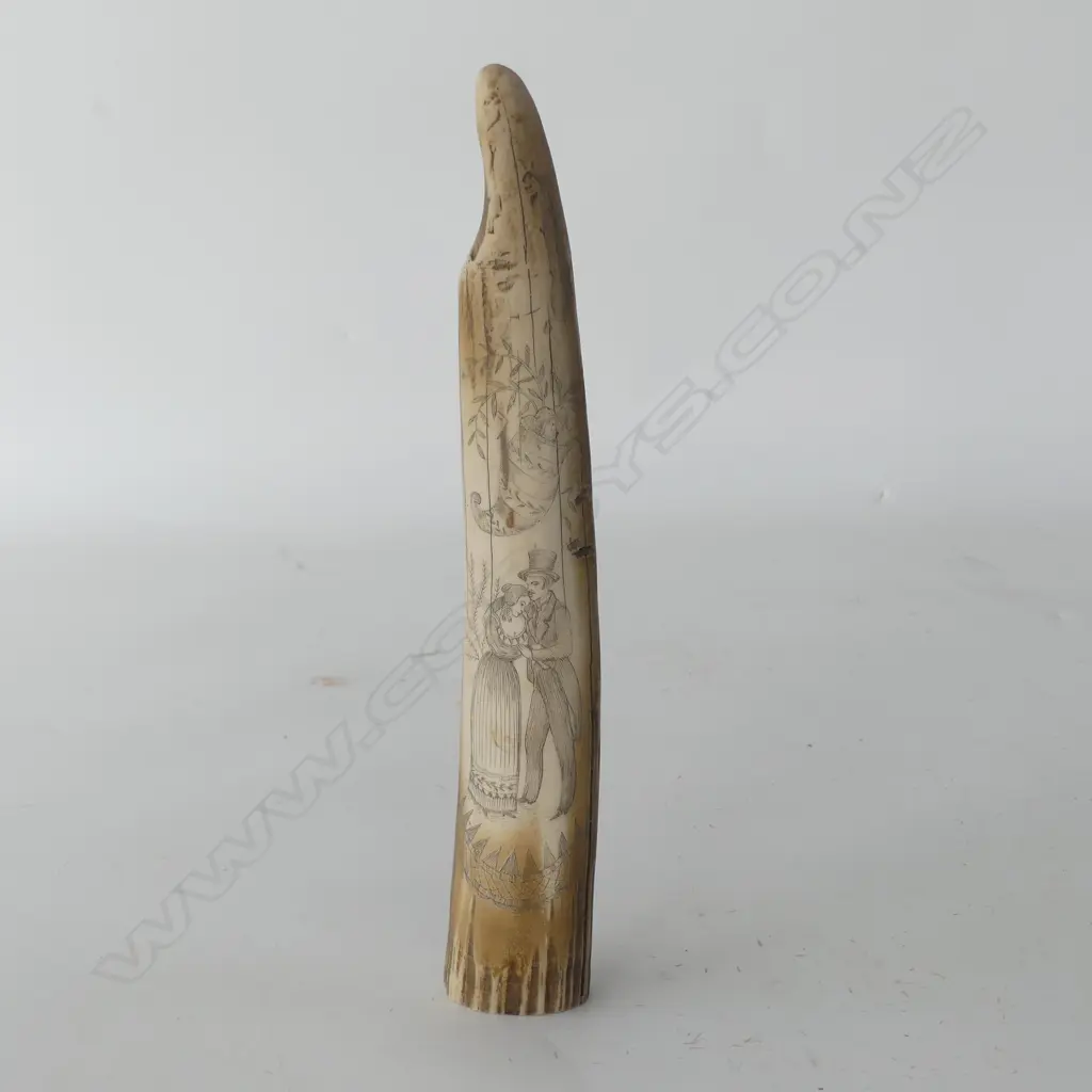 RESIN SCRIMSHAW TUSK L.295mm Image 1++