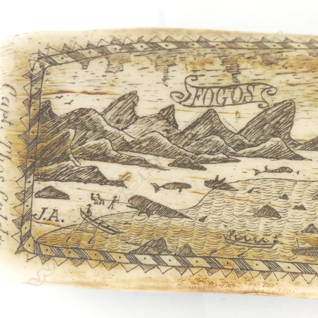RESIN SCRIMSHAW 105x425mm Image 1++