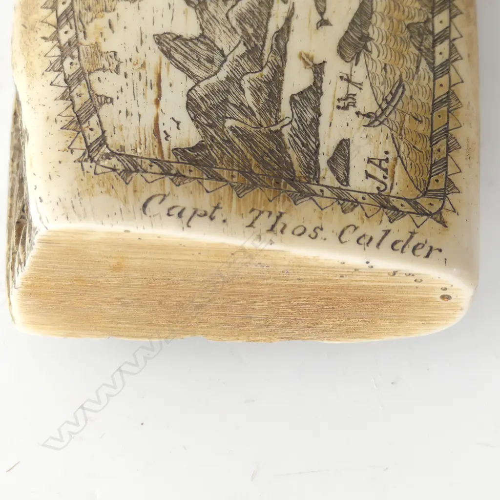 RESIN SCRIMSHAW 105x425mm Image 1++