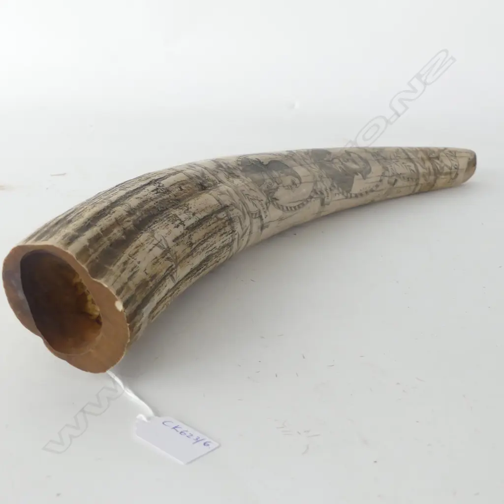 RESIN SCRIMSHAW TUSK L.545mm Image 1++
