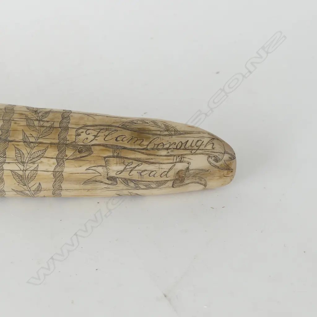 RESIN SCRIMSHAW TUSK L.545mm Image 1++