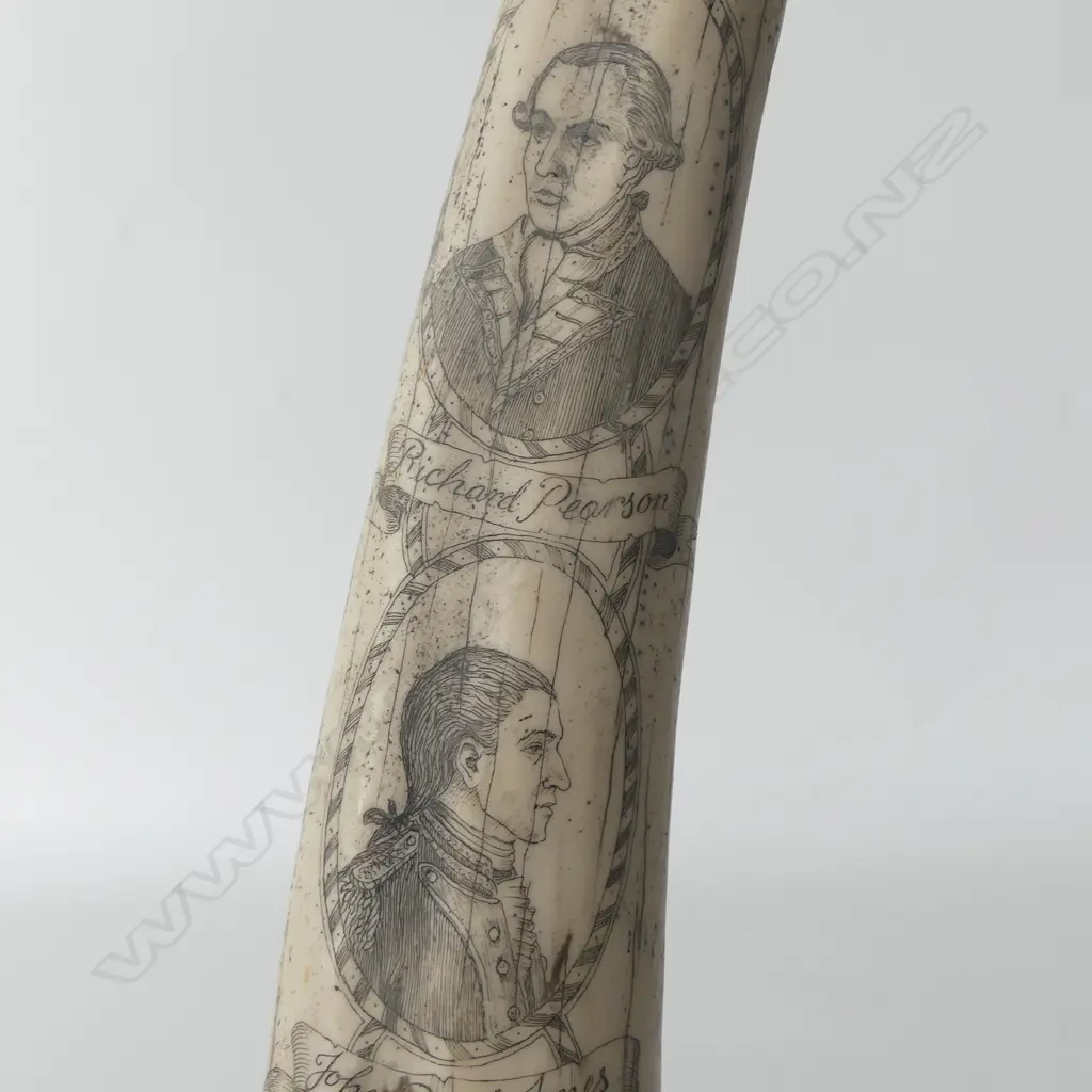 RESIN SCRIMSHAW TUSK L.545mm Image 1++