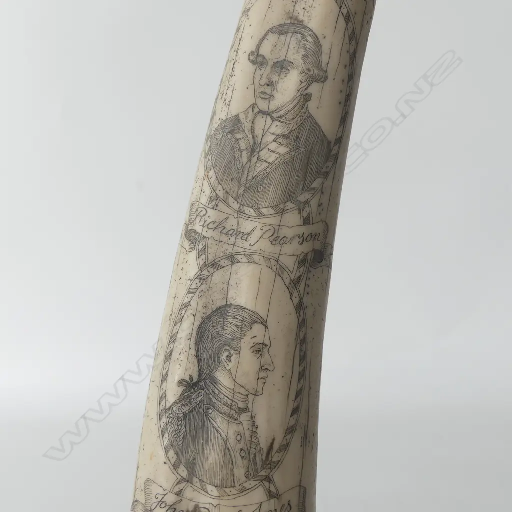 RESIN SCRIMSHAW TUSK L.545mm Image 1++