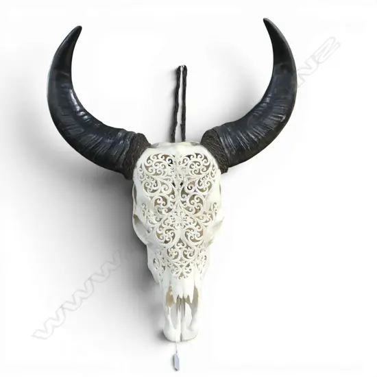 ADULT scroll carved BUFFALO SKULL WITH HORNS wall mounting L.700mm. W.540mm