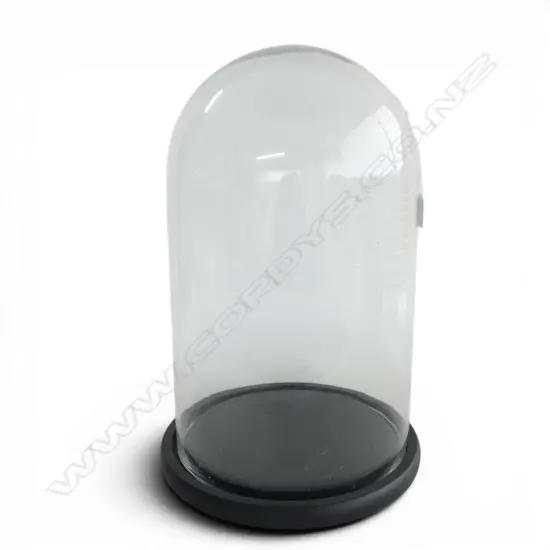 LG GLASS DOME H.480mm