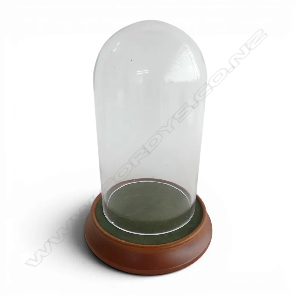 GLASS CLOCHE on turned wood stand w. green FELT lining H.290mm Image 1++