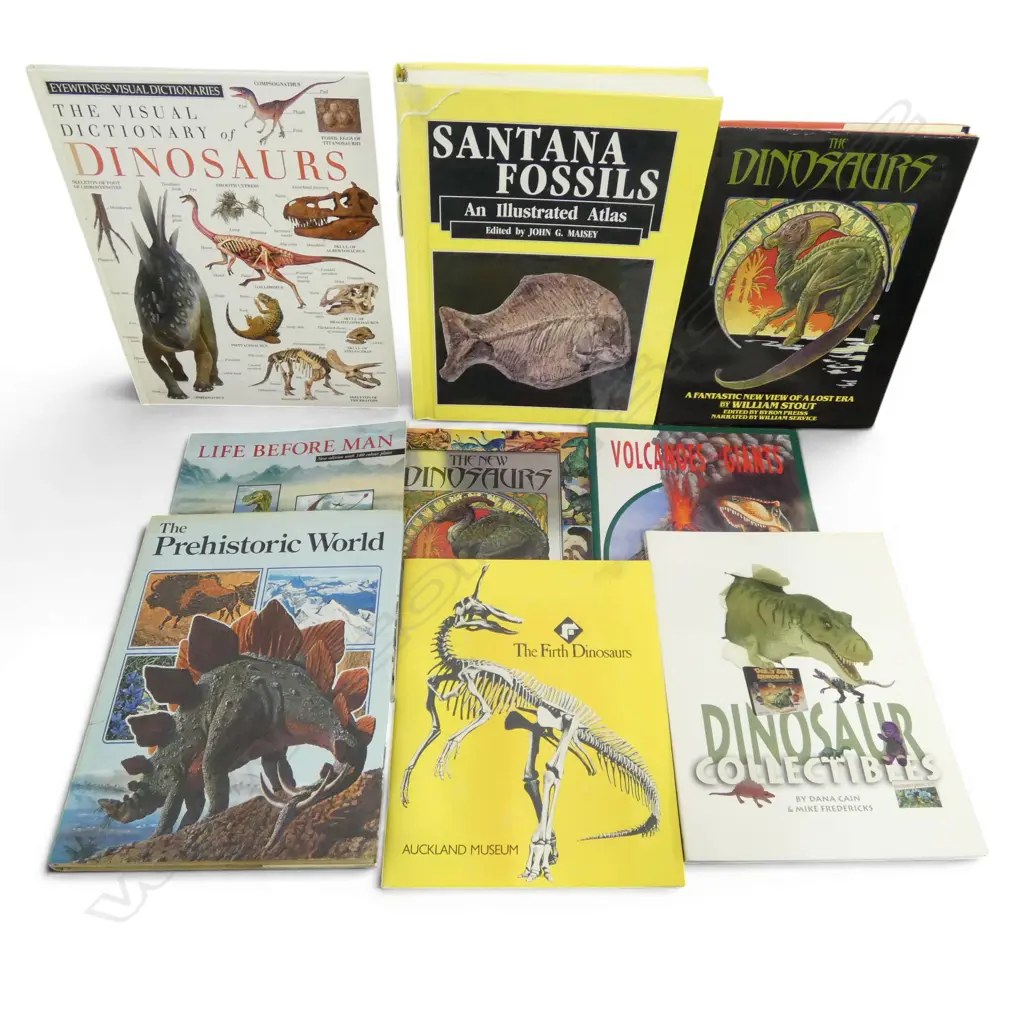 9 DINOSAUR & FOSSIL REFERENCE BOOKS  Image 1++