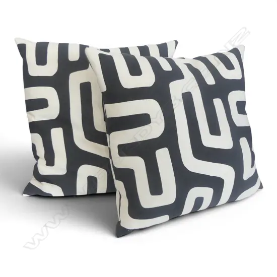 2 X MODERN CANVAS CUSHIONS WITH FEATHER INNERS