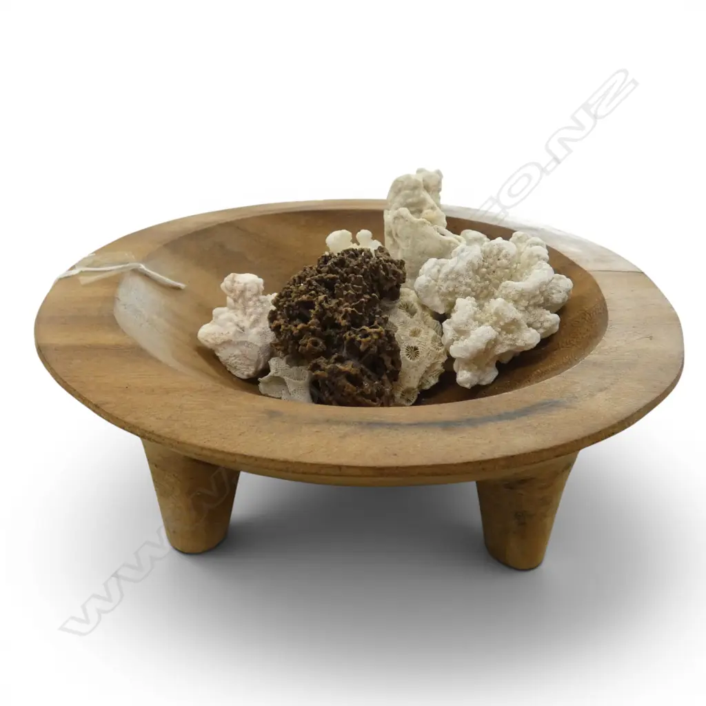 KAVA BOWL 250mm dia + CORALS Image 1++