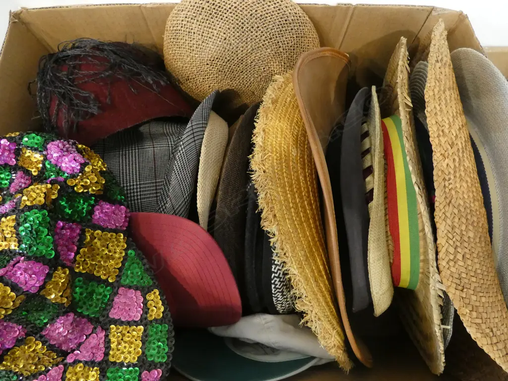 20 ASST. MENS HATS Image 1++