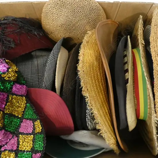 20 ASST. MENS HATS