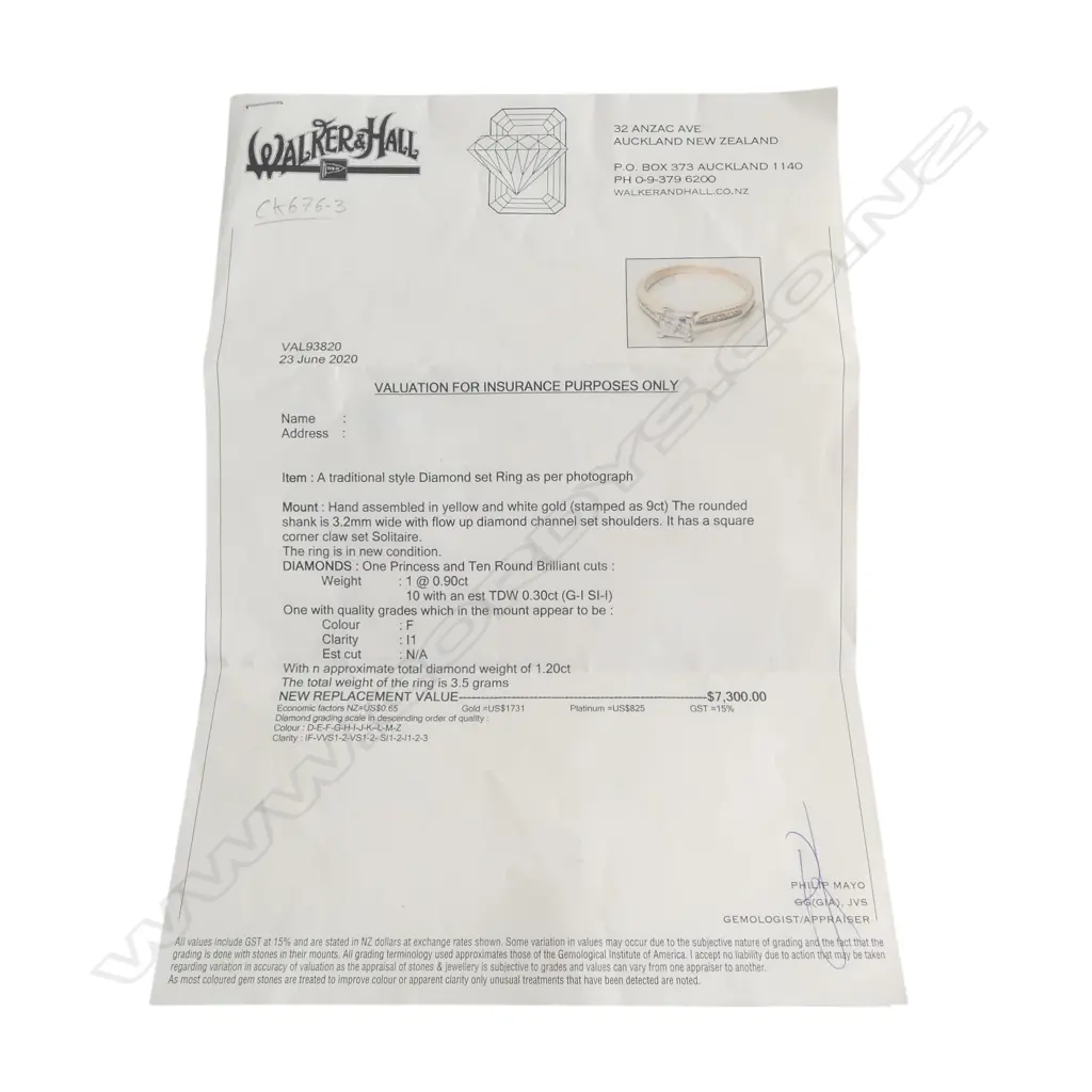 9ct & SOLITARIE DIAMOND RING, PRINCESS & 10 ROUND BRILLIANT CUTS, 1.20ct TDW, F, I1, 3.5gms SIZE T Copy of Valuation Image 1++