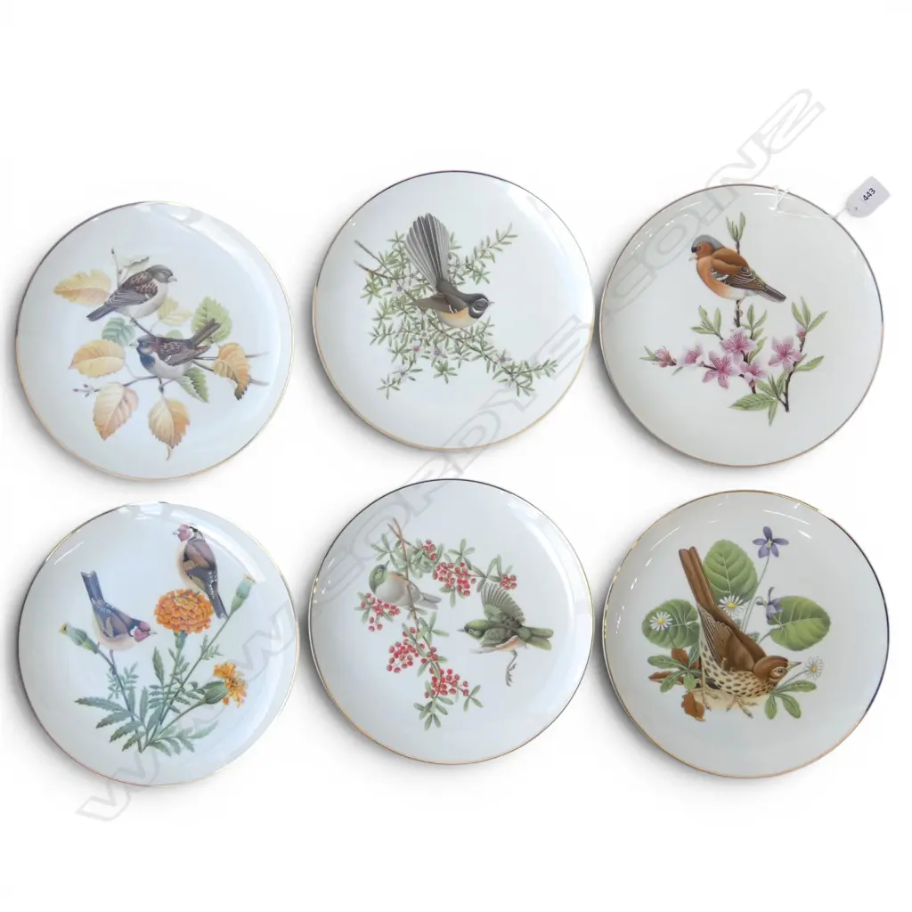SIX ASST NZ BIRDS COLLECTIBLE PLATES Dia.235mm Image 1++