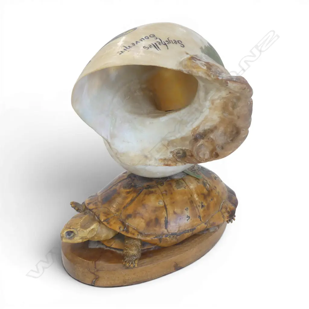 SOUVENIR TAXIDERMY TURTLE & MOP SHELL TABLE LAMP w. hand-painted parrot coastal scene H.210mm Image 1++