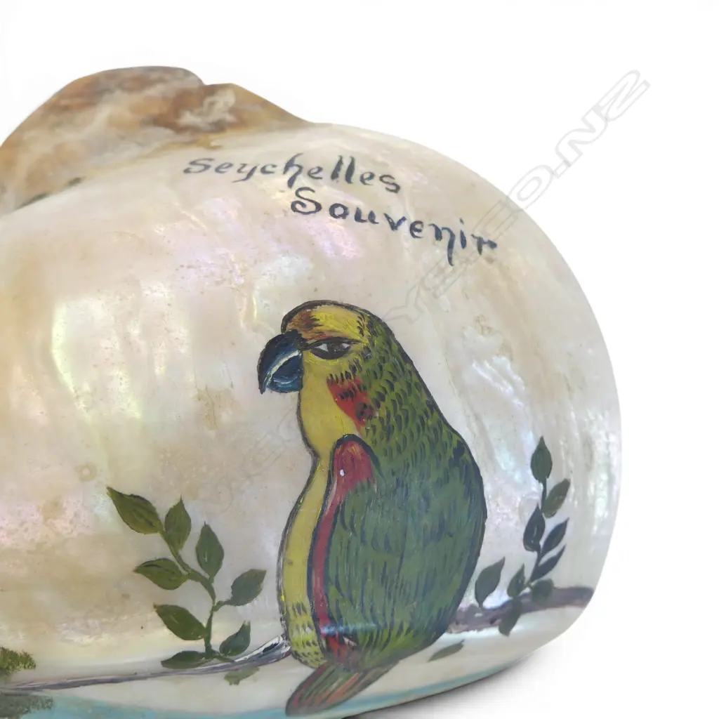 SOUVENIR TAXIDERMY TURTLE & MOP SHELL TABLE LAMP w. hand-painted parrot coastal scene H.210mm Image 1++