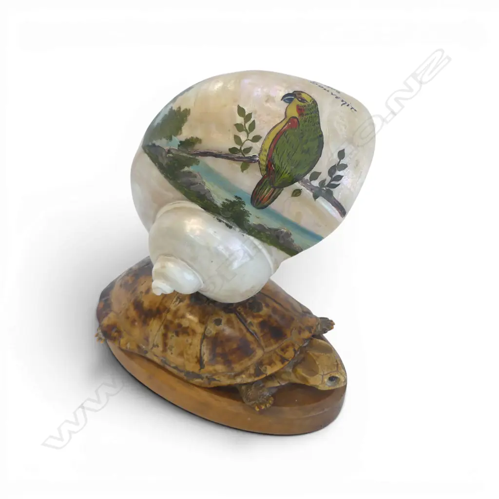 SOUVENIR TAXIDERMY TURTLE & MOP SHELL TABLE LAMP w. hand-painted parrot coastal scene H.210mm Image 1++