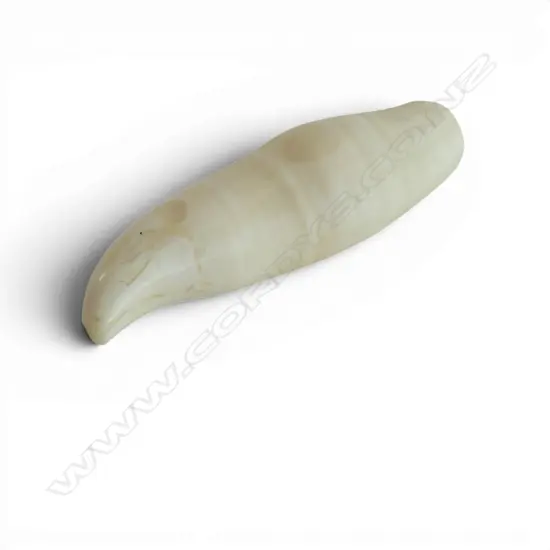 WHALE TOOTH L.100mm